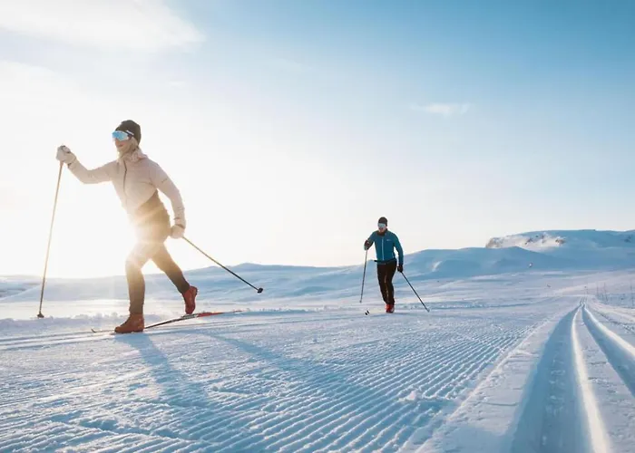 Kikut Alpin In - Out *